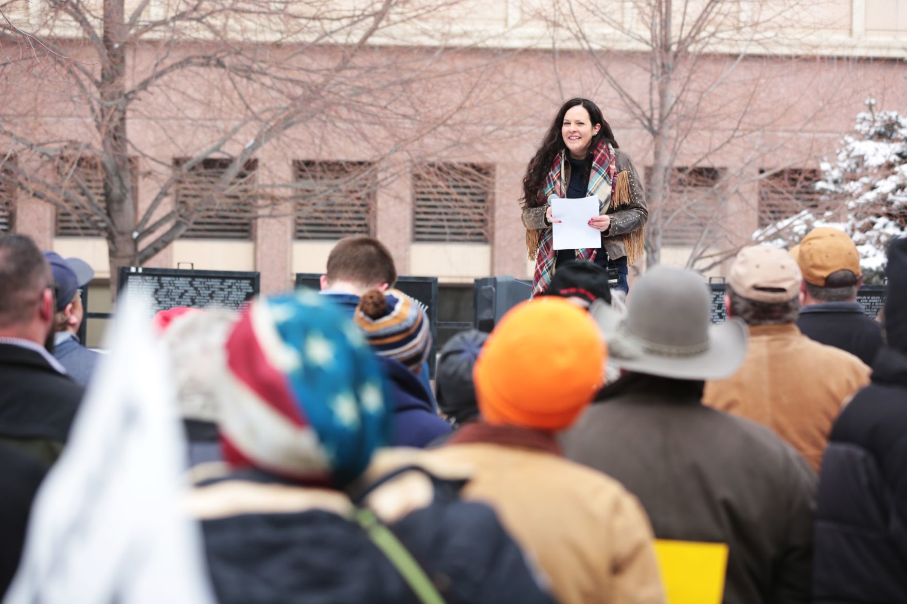 Pro-gun rally